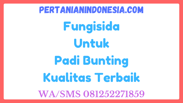 Fungisida Untuk Padi Bunting Kualitas Terbaik